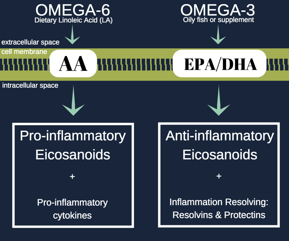 GENERALIZED OVERVIEW OF THE RELEASE OF OMEGA-3 AND OMEGA-6 FATTY ACIDS FROM CELL MEMBRANE PHOSPHOLIPIDS AND THEIR RESPECTIVE EICOSANOID DERIVATIVES
