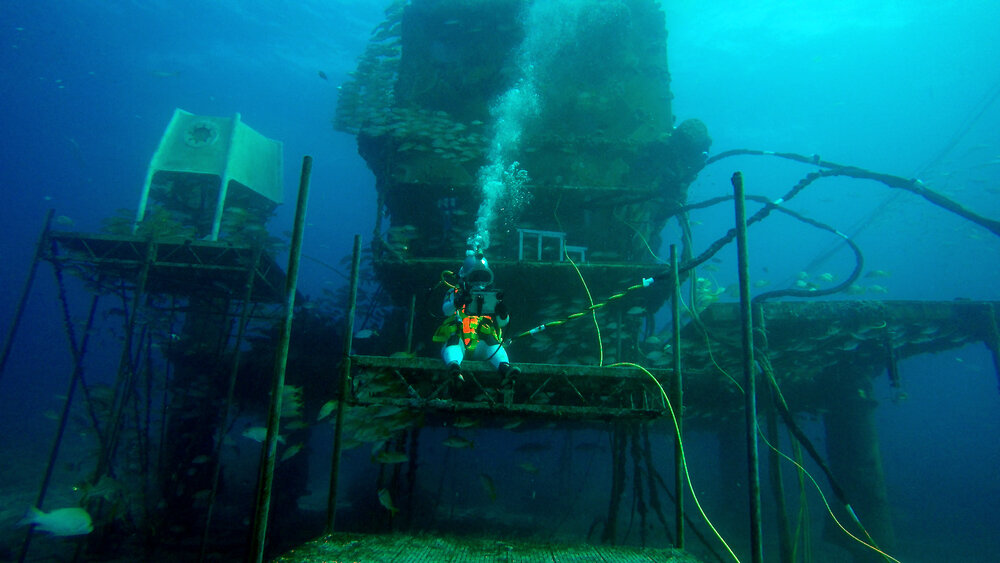 NEEMO 23 Aquanaut is performing cognitive tests at the end of a simulated extravehicular activity (EVA)