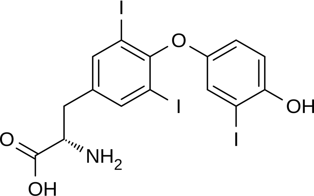 Chemical structure of Triiodothyronin (T3).