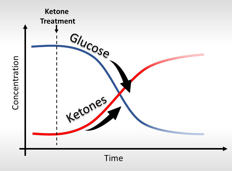 Figure from Ari, C.; Murdun, C.; Koutnik, A.P.; Goldhagen, C.R.; Rogers, C.; Park, C.; Bharwani, S.; Diamond, D.M.; Kindy, M.S.; D’Agostino, D.P.; Kovács, Z. Exogenous Ketones Lower Blood Glucose Level in Rested and Exercised Rodent Models. Nutrients 2019 , 11 , 2330.