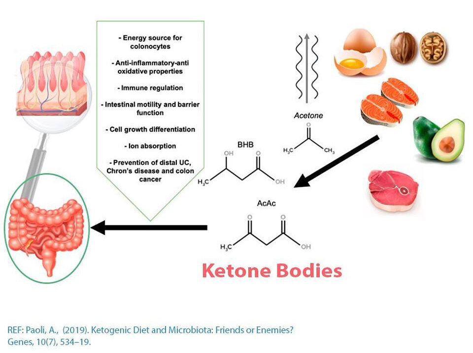 Microbiome picture.jpg