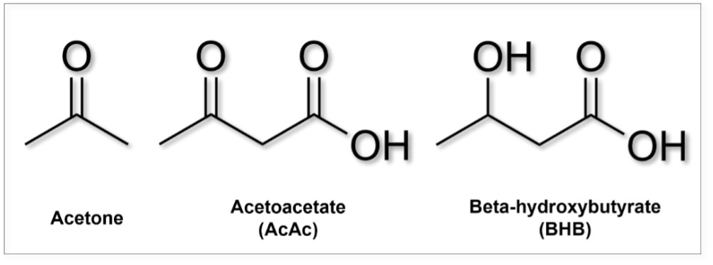 Beta Hydroxybutyrate