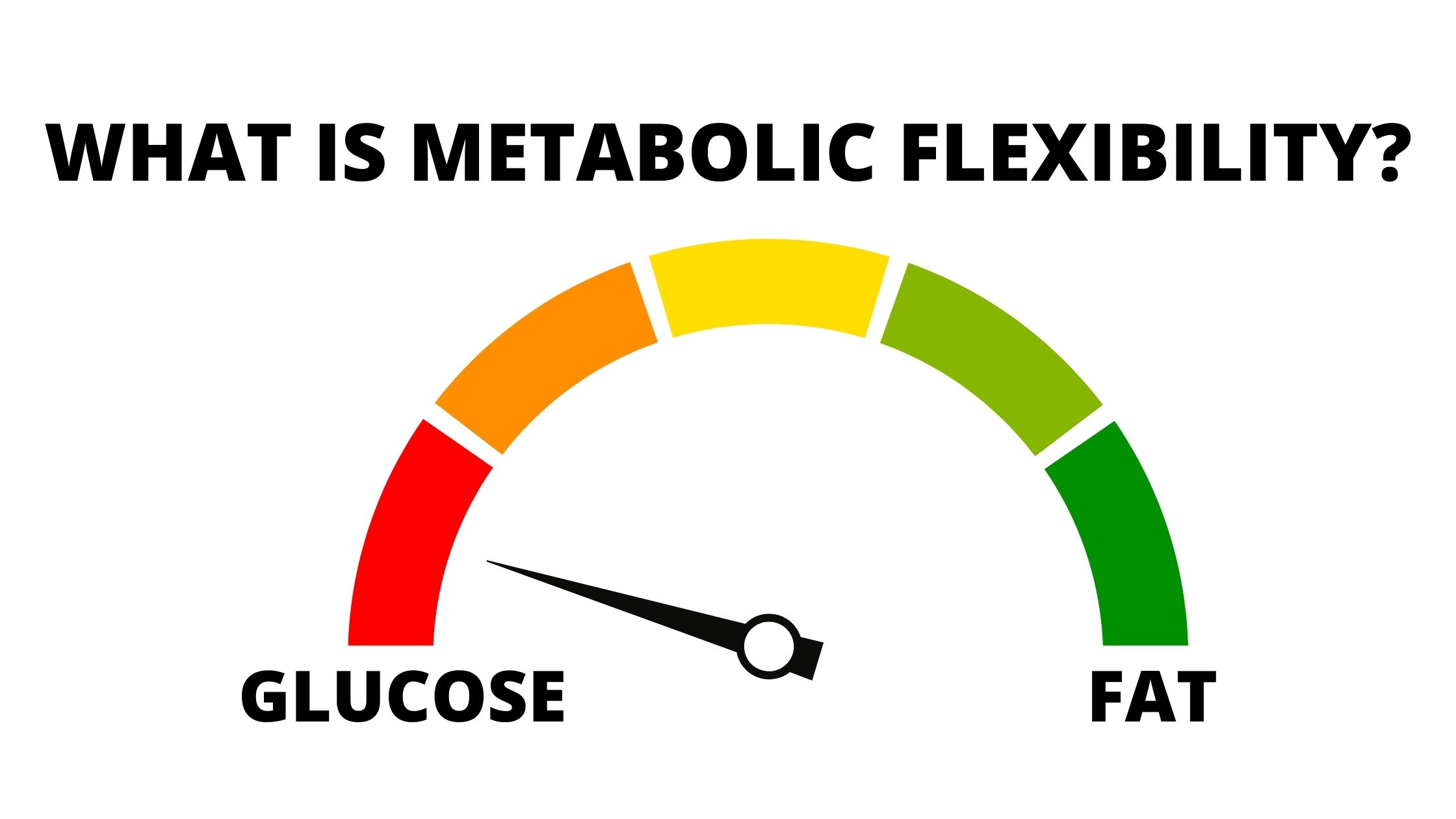 Metabolic Flexibility - KetoNutrition