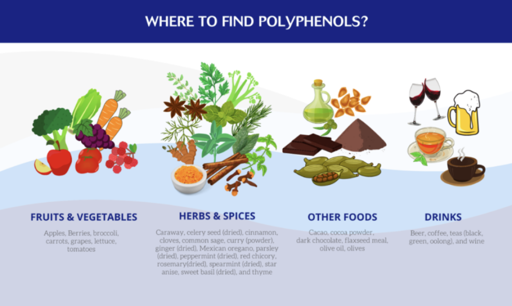 common foods with polyphenols